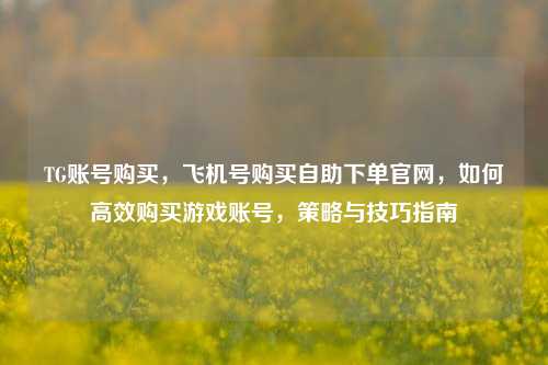 TG账号购买，飞机号购买自助下单官网，如何高效购买游戏账号，策略与技巧指南