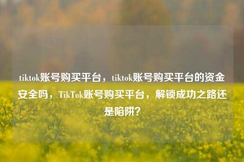 tiktok账号购买平台，tiktok账号购买平台的资金安全吗，TikTok账号购买平台，解锁成功之路还是陷阱？