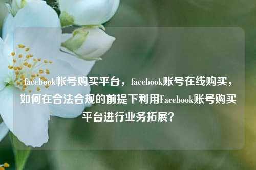 facebook帐号购买平台，facebook账号在线购买，如何在合法合规的前提下利用Facebook账号购买平台进行业务拓展？