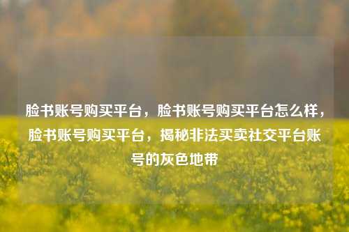 脸书账号购买平台，脸书账号购买平台怎么样，脸书账号购买平台，揭秘非法买卖社交平台账号的灰色地带
