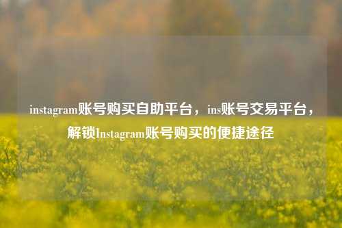 instagram账号购买自助平台，ins账号交易平台，解锁Instagram账号购买的便捷途径