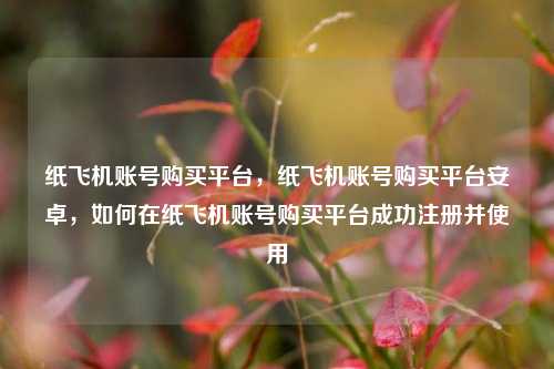纸飞机账号购买平台，纸飞机账号购买平台安卓，如何在纸飞机账号购买平台成功注册并使用