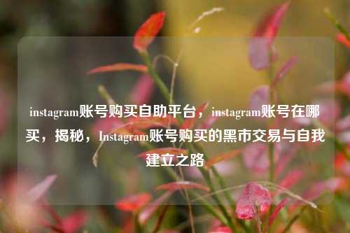 instagram账号购买自助平台，instagram账号在哪买，揭秘，Instagram账号购买的黑市交易与自我建立之路
