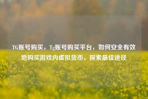 TG账号购买，Tg账号购买平台，如何安全有效地购买游戏内虚拟货币	，探索最佳途径  第1张