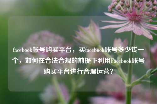 facebook帐号购买平台，买facebook账号多少钱一个，如何在合法合规的前提下利用Facebook账号购买平台进行合理运营？