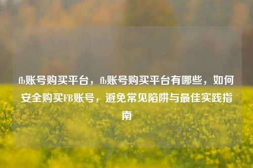 fb账号购买平台，fb账号购买平台有哪些，如何安全购买FB账号，避免常见陷阱与最佳实践指南