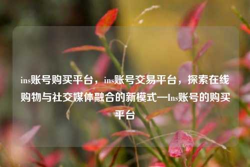 ins账号购买平台，ins账号交易平台，探索在线购物与社交媒体融合的新模式—Ins账号的购买平台