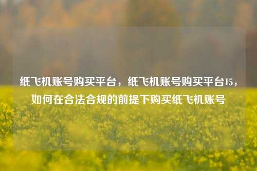 纸飞机账号购买平台，纸飞机账号购买平台15，如何在合法合规的前提下购买纸飞机账号