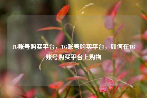 TG账号购买平台，TG账号购买平台，如何在TG账号购买平台上购物