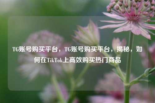 TG账号购买平台，TG账号购买平台，揭秘，如何在TikTok上高效购买热门商品