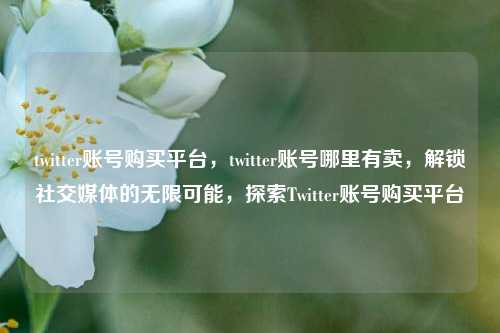 twitter账号购买平台，twitter账号哪里有卖，解锁社交媒体的无限可能，探索Twitter账号购买平台