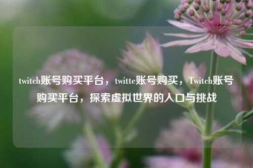 twitch账号购买平台，twitte账号购买，Twitch账号购买平台，探索虚拟世界的入口与挑战