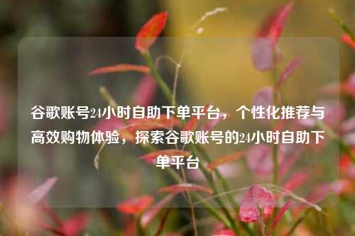 谷歌账号24小时自助下单平台，个性化推荐与高效购物体验，探索谷歌账号的24小时自助下单平台