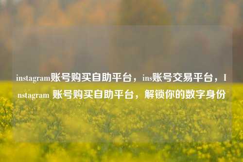 instagram账号购买自助平台	，ins账号交易平台，Instagram 账号购买自助平台，解锁你的数字身份  第1张