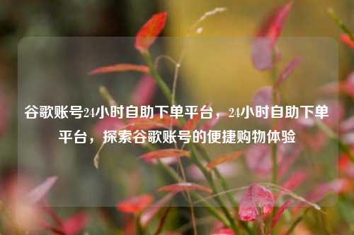谷歌账号24小时自助下单平台	，24小时自助下单平台，探索谷歌账号的便捷购物体验  第1张