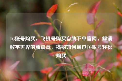 TG账号购买，飞机号购买自助下单官网，解锁数字世界的新篇章，揭秘如何通过TG账号轻松购买