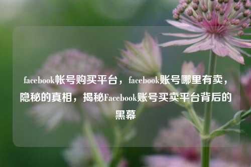 facebook帐号购买平台，facebook账号哪里有卖	，隐秘的真相，揭秘Facebook账号买卖平台背后的黑幕  第1张
