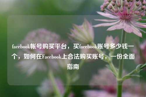 facebook帐号购买平台，买facebook账号多少钱一个，如何在Facebook上合法购买账号，一份全面指南