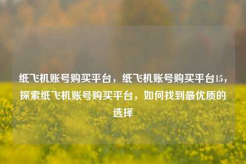 纸飞机账号购买平台，纸飞机账号购买平台15，探索纸飞机账号购买平台，如何找到最优质的选择