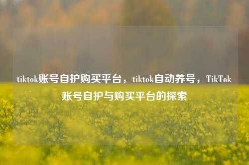 tiktok账号自护购买平台，tiktok自动养号，TikTok账号自护与购买平台的探索  第1张