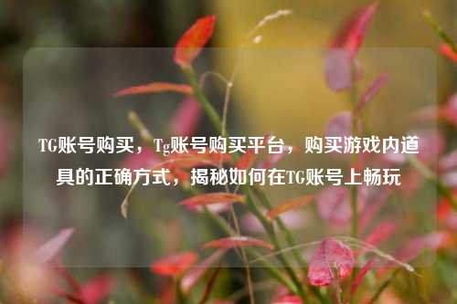 TG账号购买，Tg账号购买平台，购买游戏内道具的正确方式，揭秘如何在TG账号上畅玩