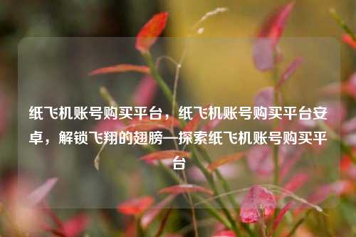 纸飞机账号购买平台，纸飞机账号购买平台安卓，解锁飞翔的翅膀—探索纸飞机账号购买平台