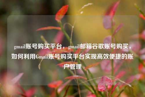 gmail账号购买平台，gmail邮箱谷歌账号购买，如何利用Gmail账号购买平台实现高效便捷的账户管理