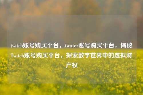 twitch账号购买平台，twiiter账号购买平台，揭秘Twitch账号购买平台	，探索数字世界中的虚拟财产权  第1张