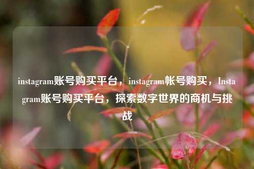 instagram账号购买平台，instagram帐号购买，Instagram账号购买平台，探索数字世界的商机与挑战