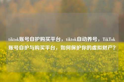 tiktok账号自护购买平台，tiktok自动养号，TikTok账号自护与购买平台，如何保护你的虚拟财产？