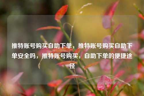 推特账号购买自助下单，推特账号购买自助下单安全吗，推特账号购买，自助下单的便捷途径