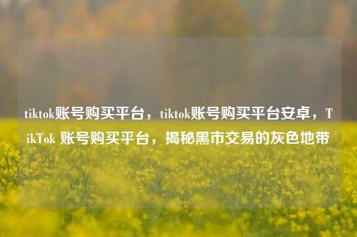 tiktok账号购买平台，tiktok账号购买平台安卓，TikTok 账号购买平台，揭秘黑市交易的灰色地带