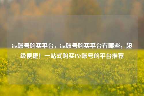 ins账号购买平台，ins账号购买平台有哪些，超级便捷！一站式购买INS账号的平台推荐