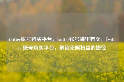 twitter账号购买平台，twitter账号哪里有卖，Twitter 账号购买平台，解锁无限粉丝的捷径