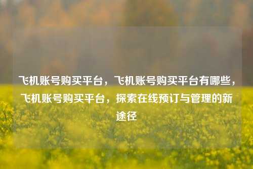 飞机账号购买平台，飞机账号购买平台有哪些，飞机账号购买平台，探索在线预订与管理的新途径