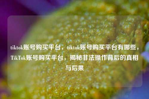 tiktok账号购买平台，tiktok账号购买平台有哪些，TikTok账号购买平台，揭秘非法操作背后的真相与后果