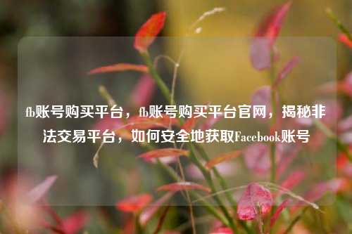 fb账号购买平台，fb账号购买平台官网，揭秘非法交易平台，如何安全地获取Facebook账号