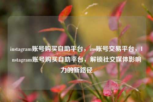 instagram账号购买自助平台，ins账号交易平台，Instagram账号购买自助平台，解锁社交媒体影响力的新路径