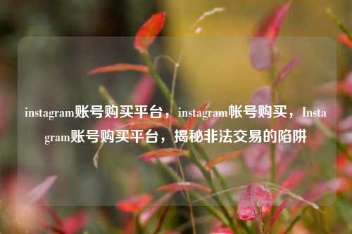 instagram账号购买平台，instagram帐号购买，Instagram账号购买平台，揭秘非法交易的陷阱
