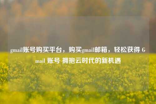 gmail账号购买平台，购买gmail邮箱，轻松获得 Gmail 账号 拥抱云时代的新机遇