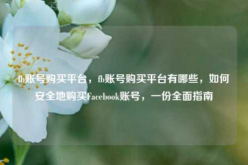 fb账号购买平台，fb账号购买平台有哪些，如何安全地购买Facebook账号，一份全面指南