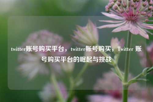 twitter账号购买平台，twitter帐号购买，Twitter 账号购买平台的崛起与挑战