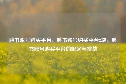 脸书账号购买平台，脸书账号购买平台2块，脸书账号购买平台的崛起与挑战