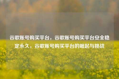 谷歌账号购买平台，谷歌账号购买平台安全稳定永久，谷歌账号购买平台的崛起与挑战