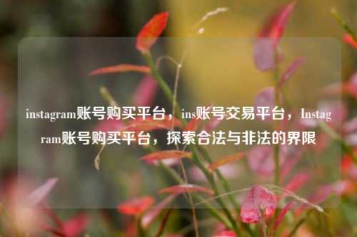 instagram账号购买平台，ins账号交易平台，Instagram账号购买平台，探索合法与非法的界限