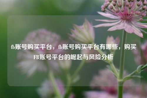 fb账号购买平台，fb账号购买平台有哪些，购买FB账号平台的崛起与风险分析