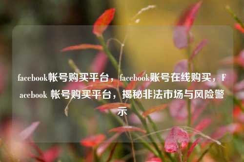 facebook帐号购买平台，facebook账号在线购买，Facebook 帐号购买平台，揭秘非法市场与风险警示