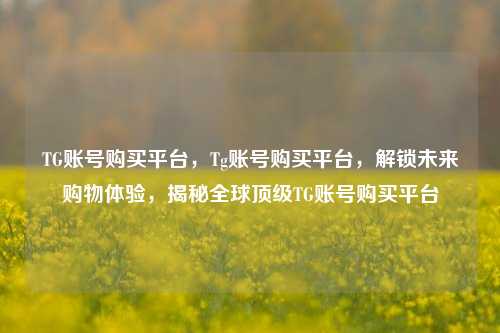 TG账号购买平台，Tg账号购买平台，解锁未来购物体验，揭秘全球顶级TG账号购买平台