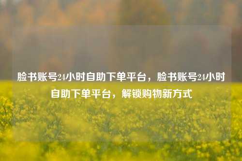 脸书账号24小时自助下单平台，脸书账号24小时自助下单平台，解锁购物新方式