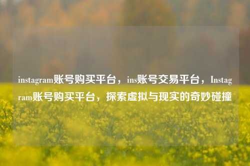 instagram账号购买平台，ins账号交易平台，Instagram账号购买平台，探索虚拟与现实的奇妙碰撞